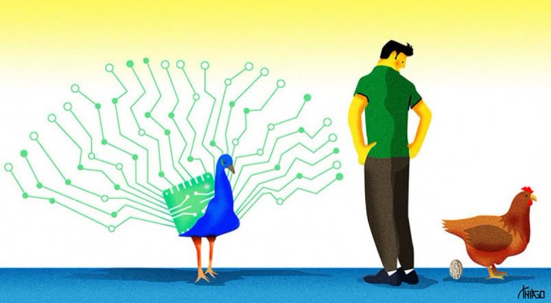 Luiz Siqueira - Tecnologias de Sucesso: o que realmente faz um projeto brilhar?